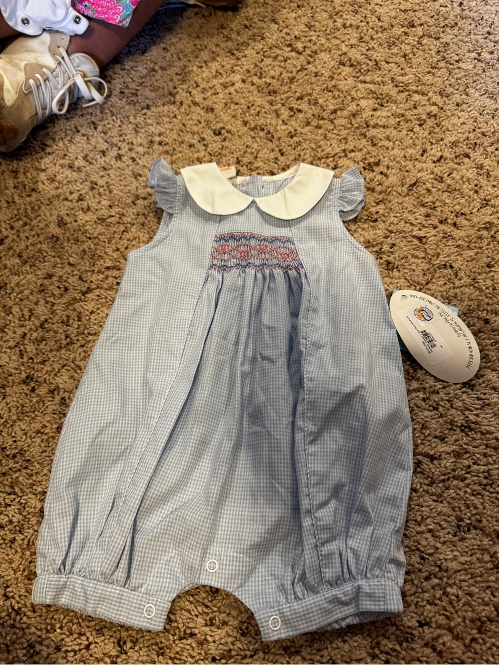 Blue Gingham Smocked Peter Pan Collar Baby Dress